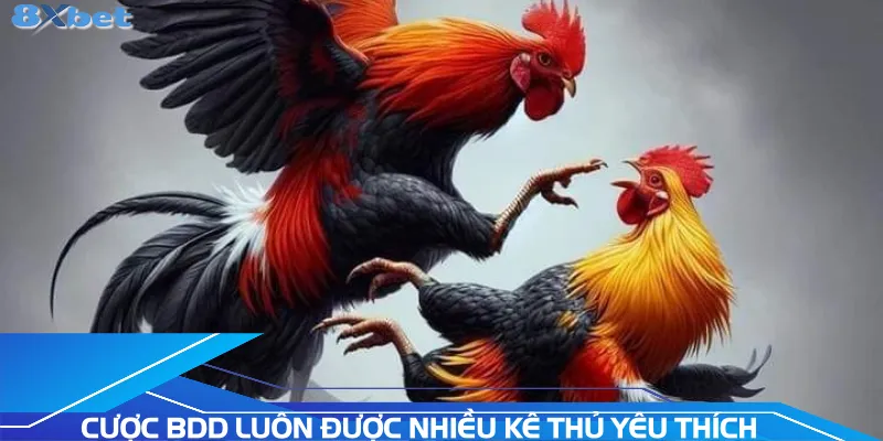 cuoc-bdd-luon-duoc-nhieu-ke-thu-yeu-thich