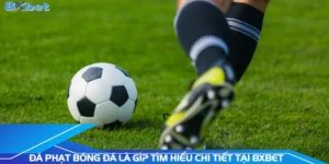 da-phat-bong-da-la-gi-tim-hieu-chi-tiet-tai-8xbet
