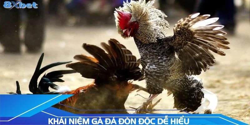 khai-niem-ga-da-don-doc-de-hieu-cho-nguoi-moi