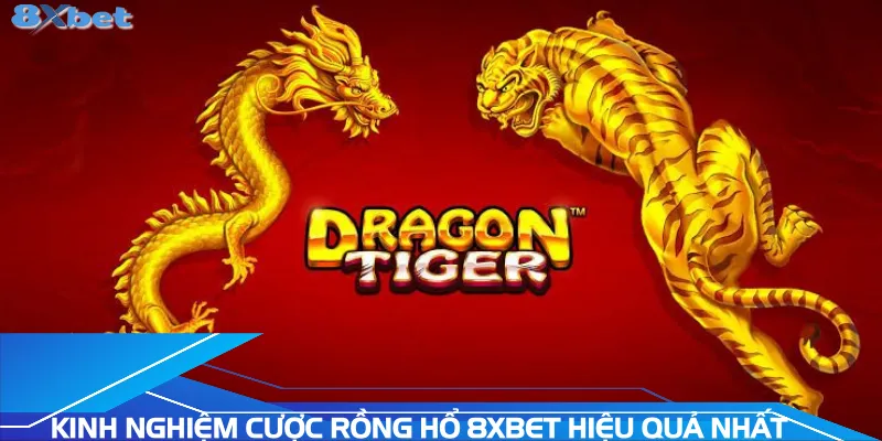 kinh-nghiem-cuoc-rong-ho-8xbet-hieu-qua-nhat