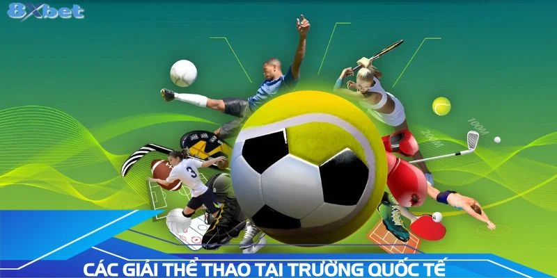 trai-nghiem-cac-giai-the-thao-tai-truong-quoc-te